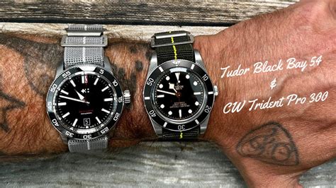 steinhart vs tudor ciaca|Christopher Ward Trident Pro 300 Lume vs Tudor and Steinhart.